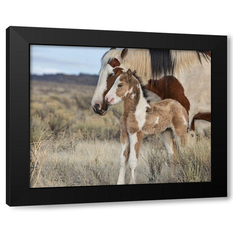 Lady Braveheart and Filly Black Modern Wood Framed Art Print by McFerrin, Larry