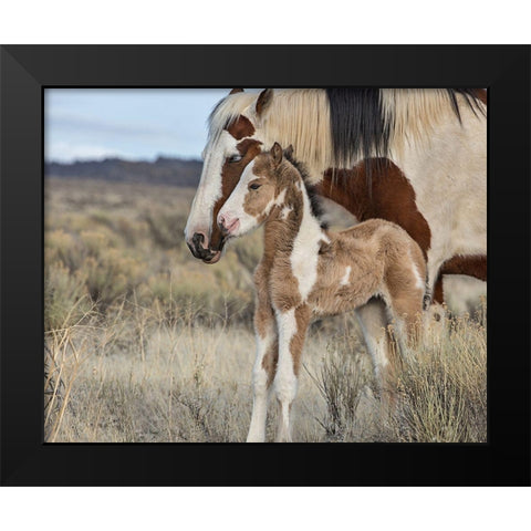 Lady Braveheart and Filly Black Modern Wood Framed Art Print by McFerrin, Larry