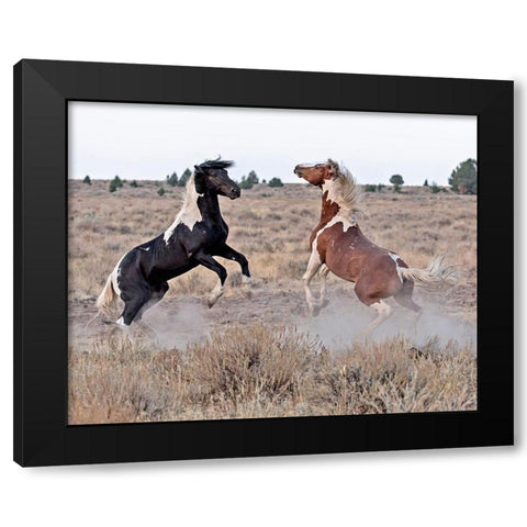 Domino and Aztec Black Modern Wood Framed Art Print with Double Matting by McFerrin, Larry