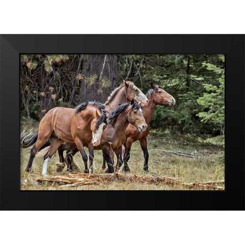 Dreamsickle, Scarbutt and Bachelors Black Modern Wood Framed Art Print by McFerrin, Larry