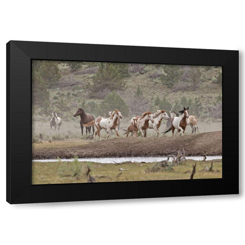 Ditto-Galileo Band Black Modern Wood Framed Art Print with Double Matting by McFerrin, Larry