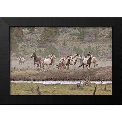 Ditto-Galileo Band Black Modern Wood Framed Art Print by McFerrin, Larry