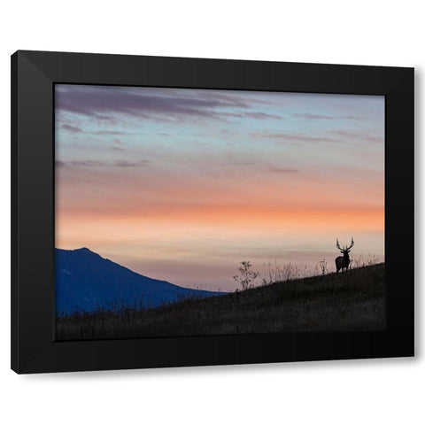 Elkscape Black Modern Wood Framed Art Print by McFerrin, Larry