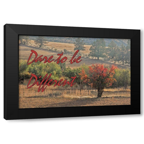 Dare to be Different Black Modern Wood Framed Art Print with Double Matting by McFerrin, Larry