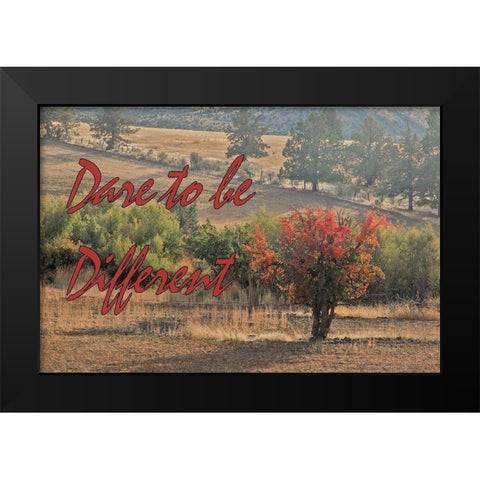 Dare to be Different Black Modern Wood Framed Art Print by McFerrin, Larry
