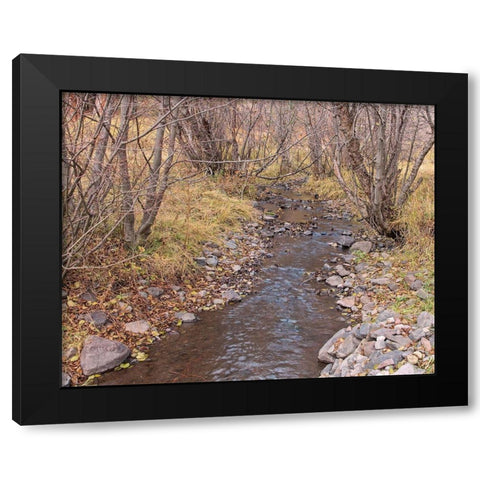 Ochoco Creek Black Modern Wood Framed Art Print by McFerrin, Larry