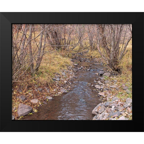 Ochoco Creek Black Modern Wood Framed Art Print by McFerrin, Larry