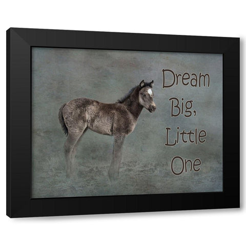 Dream Big Black Modern Wood Framed Art Print by McFerrin, Larry