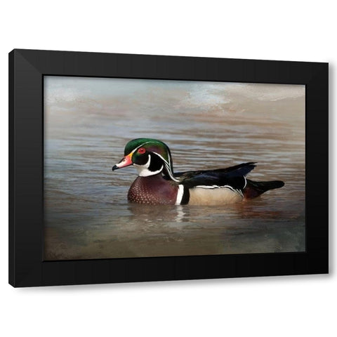 Wood Duck Black Modern Wood Framed Art Print by McFerrin, Larry
