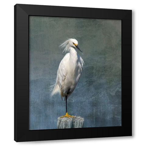 Snow Egret Black Modern Wood Framed Art Print by McFerrin, Larry