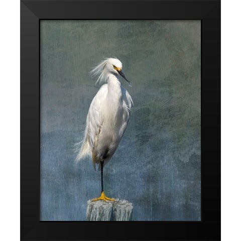 Snow Egret Black Modern Wood Framed Art Print by McFerrin, Larry