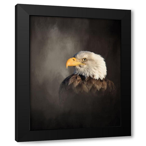 Bald Eagle Black Modern Wood Framed Art Print with Double Matting by McFerrin, Larry