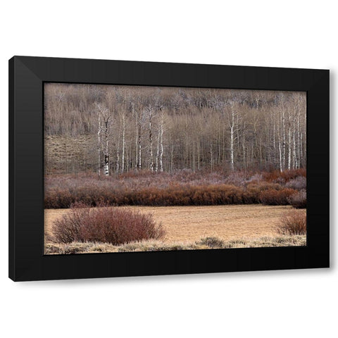 Steens Mountain Meadow Black Modern Wood Framed Art Print by McFerrin, Larry