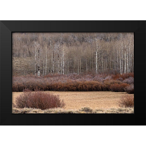 Steens Mountain Meadow Black Modern Wood Framed Art Print by McFerrin, Larry