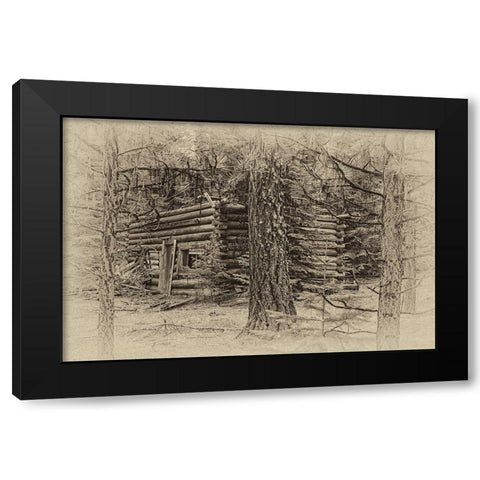 Cabin in the Woods Black Modern Wood Framed Art Print by McFerrin, Larry