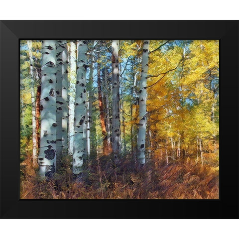 Autumn Aspens Black Modern Wood Framed Art Print by McFerrin, Larry