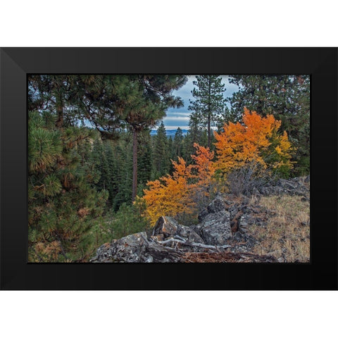 Aspen Blaze Black Modern Wood Framed Art Print by McFerrin, Larry
