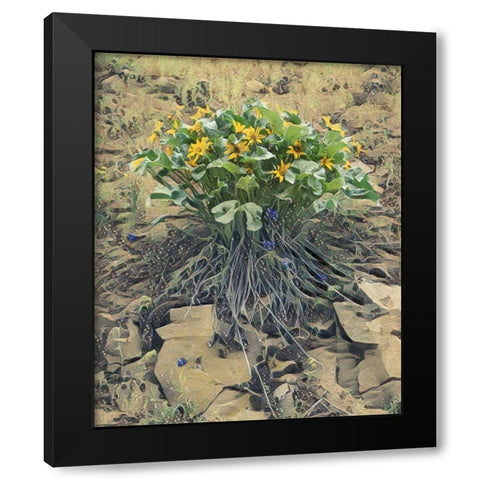 Desert Bouquet Black Modern Wood Framed Art Print with Double Matting by McFerrin, Larry