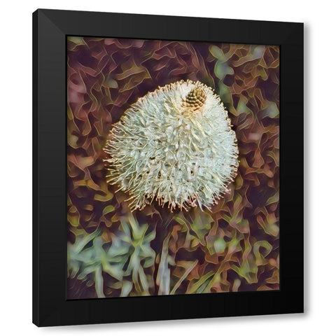 Gemstone Bear Grass Black Modern Wood Framed Art Print by McFerrin, Larry