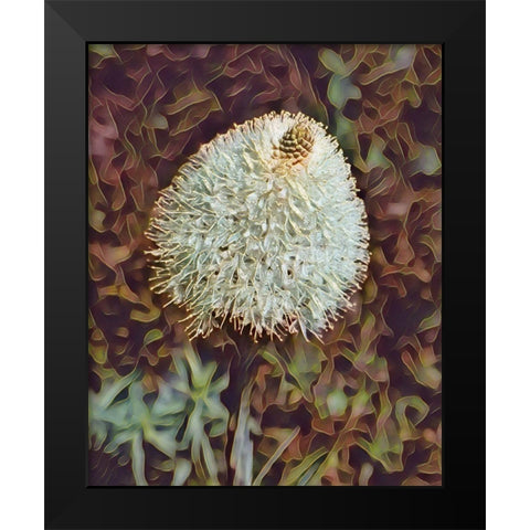 Gemstone Bear Grass Black Modern Wood Framed Art Print by McFerrin, Larry