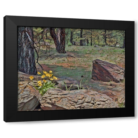 Mules Ears in Forest Black Modern Wood Framed Art Print by McFerrin, Larry