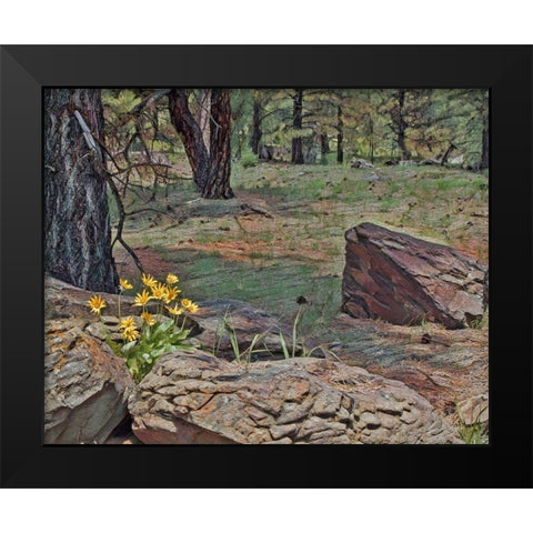Mules Ears in Forest Black Modern Wood Framed Art Print by McFerrin, Larry