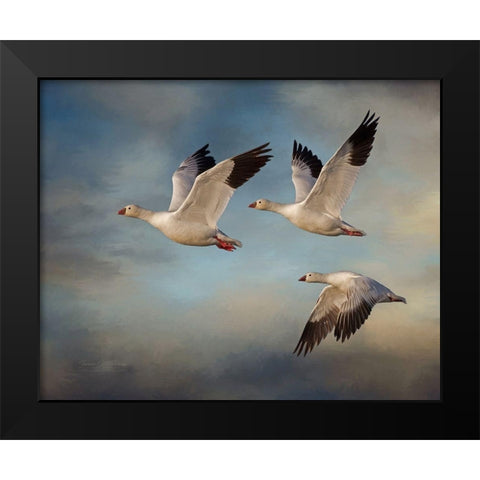 Snow Geese Black Modern Wood Framed Art Print by McFerrin, Larry