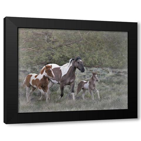 Legend-Aura-and Storm Black Modern Wood Framed Art Print with Double Matting by McFerrin, Larry