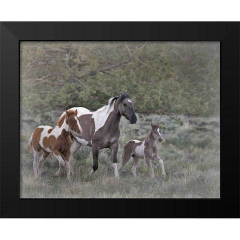 Legend-Aura-and Storm Black Modern Wood Framed Art Print by McFerrin, Larry