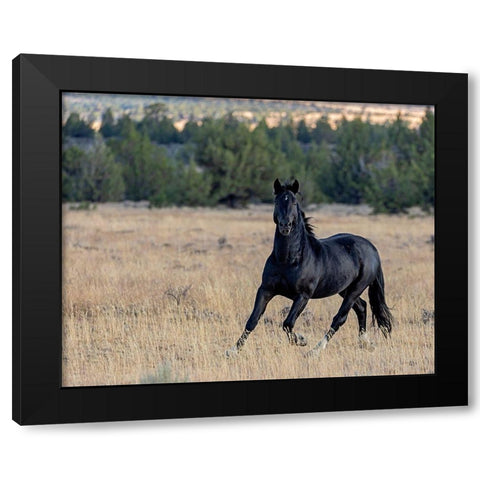 Intense Black Modern Wood Framed Art Print by McFerrin, Larry