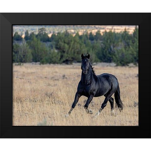 Intense Black Modern Wood Framed Art Print by McFerrin, Larry