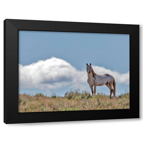 War Chief Black Modern Wood Framed Art Print with Double Matting by McFerrin, Larry