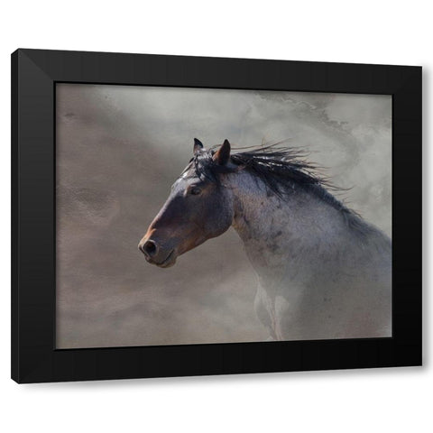 Back Country Roan Black Modern Wood Framed Art Print by McFerrin, Larry