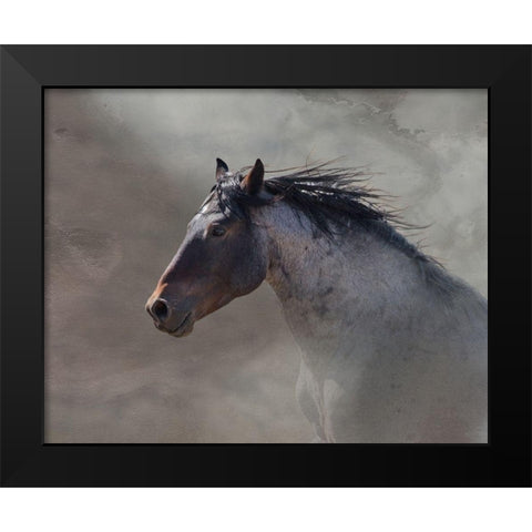Back Country Roan Black Modern Wood Framed Art Print by McFerrin, Larry
