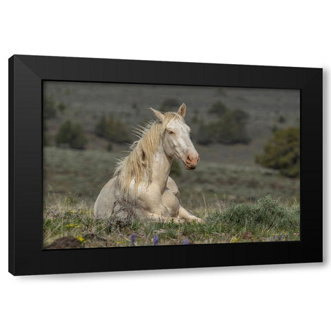 Survivor Black Modern Wood Framed Art Print by McFerrin, Larry