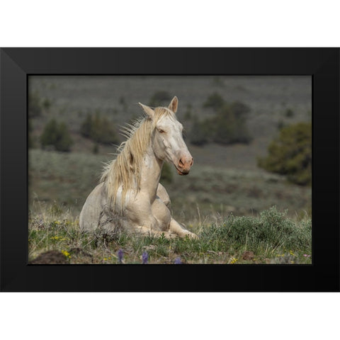 Survivor Black Modern Wood Framed Art Print by McFerrin, Larry