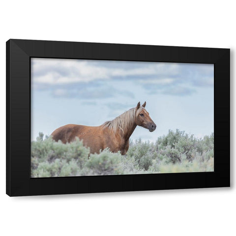 Aphrodite Black Modern Wood Framed Art Print by McFerrin, Larry