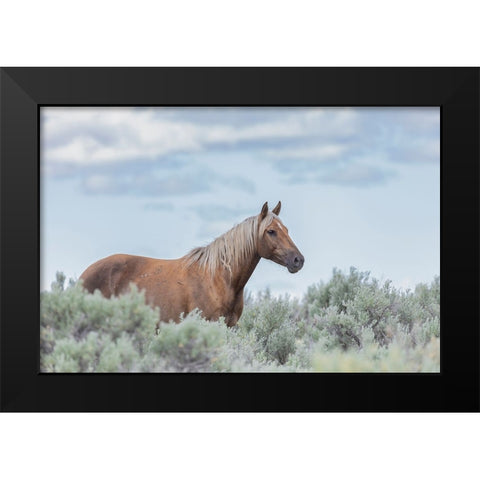 Aphrodite Black Modern Wood Framed Art Print by McFerrin, Larry