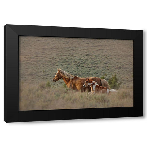 Aztec Band Black Modern Wood Framed Art Print by McFerrin, Larry