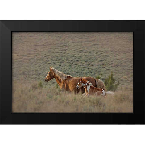 Aztec Band Black Modern Wood Framed Art Print by McFerrin, Larry