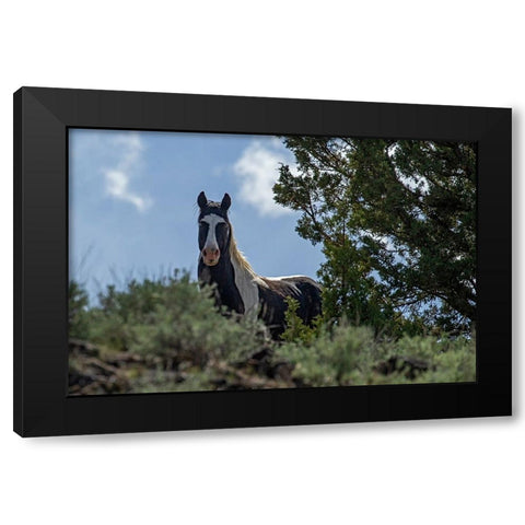 Casino Black Modern Wood Framed Art Print with Double Matting by McFerrin, Larry