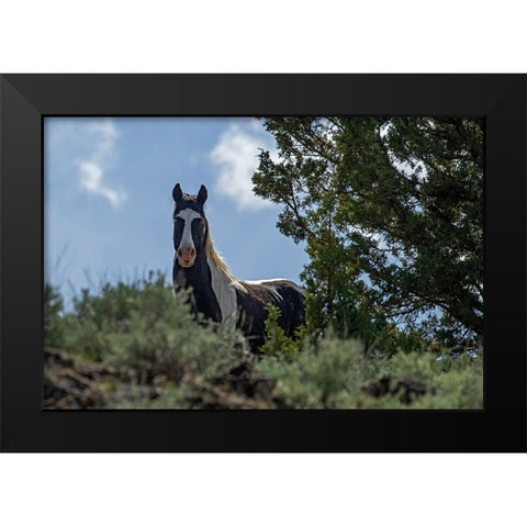 Casino Black Modern Wood Framed Art Print by McFerrin, Larry