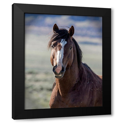 Choctaw Black Modern Wood Framed Art Print by McFerrin, Larry