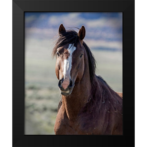 Choctaw Black Modern Wood Framed Art Print by McFerrin, Larry