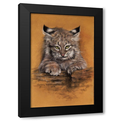 Bobcat Black Modern Wood Framed Art Print by Harrison, Lesley