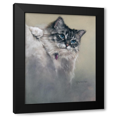 Sapphires and Whiskers Black Modern Wood Framed Art Print with Double Matting by Harrison, Lesley
