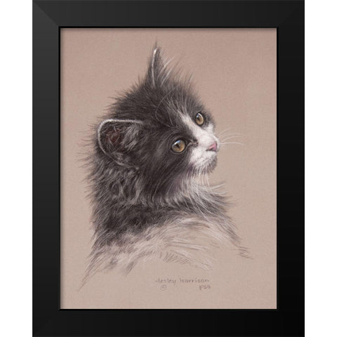 Pretty Kitty Black Modern Wood Framed Art Print by Harrison, Lesley