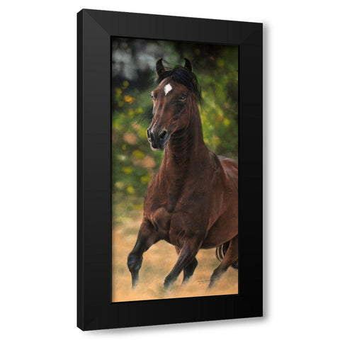 Spirit of Victory Black Modern Wood Framed Art Print with Double Matting by Harrison, Lesley