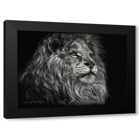 African Lion Black Modern Wood Framed Art Print with Double Matting by Harrison, Lesley