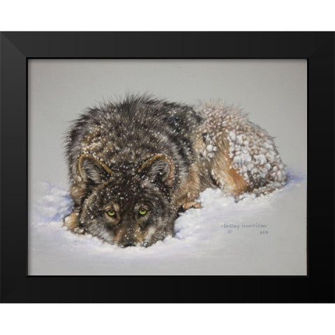 Lone Wolf Black Modern Wood Framed Art Print by Harrison, Lesley